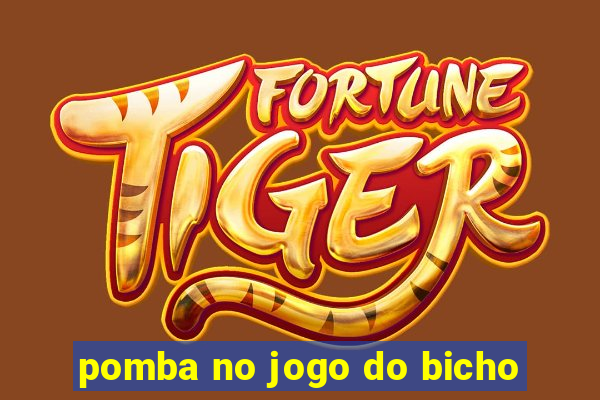 pomba no jogo do bicho